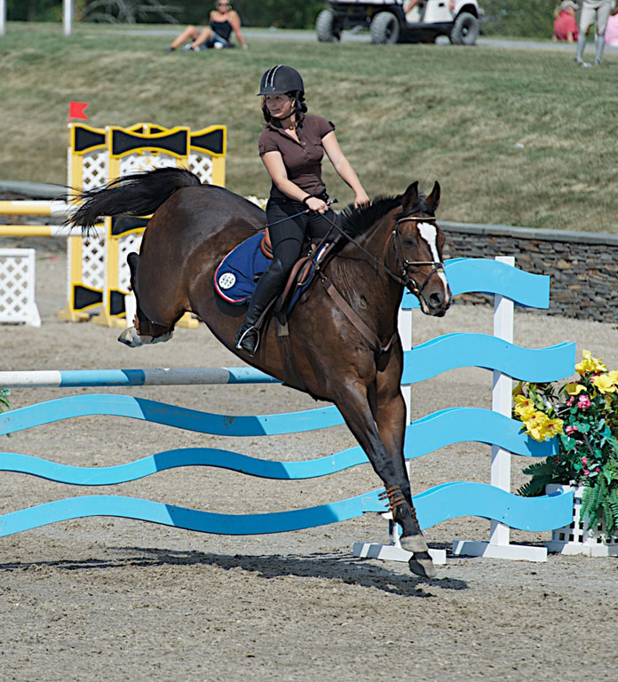 Equestrian Jumping  1074